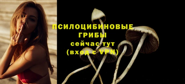 винт Абинск