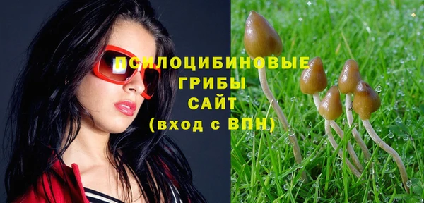 a pvp Абдулино