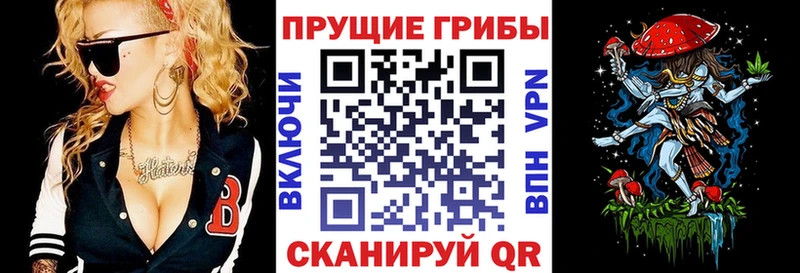 Галлюциногенные грибы GOLDEN TEACHER цены наркотик Стерлитамак